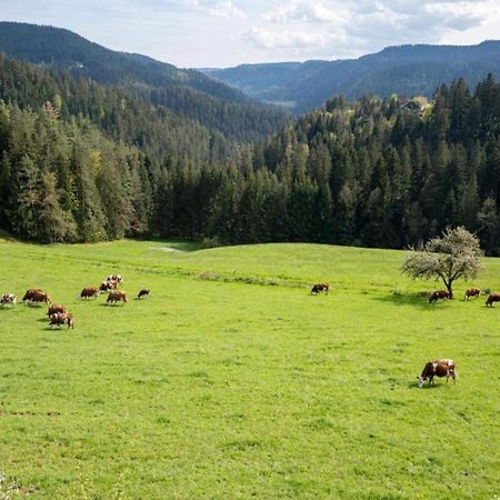 Lovely Apartment In The Black Forest Villingen-Schwenningen Ngoại thất bức ảnh