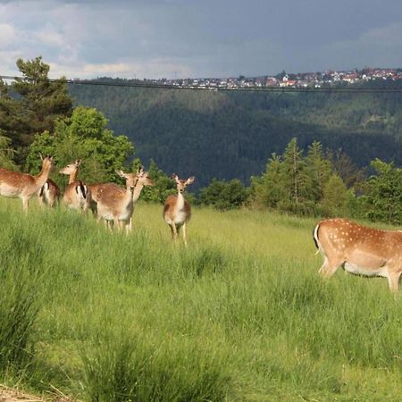 Lovely Apartment In The Black Forest Villingen-Schwenningen Ngoại thất bức ảnh