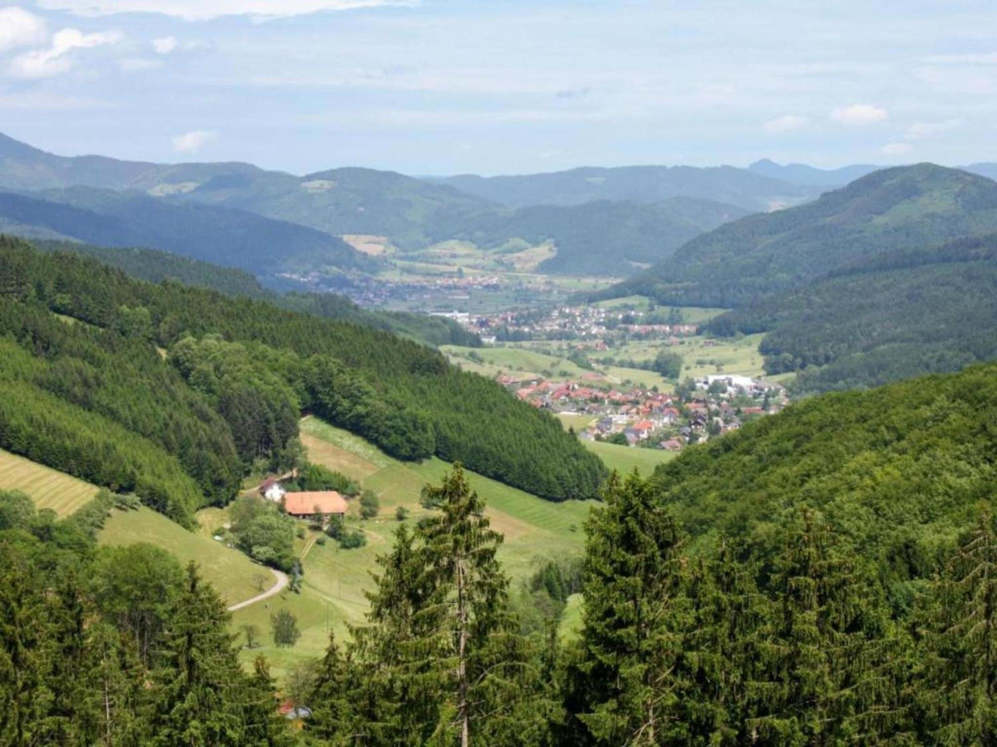 Lovely Apartment In The Black Forest Villingen-Schwenningen Ngoại thất bức ảnh