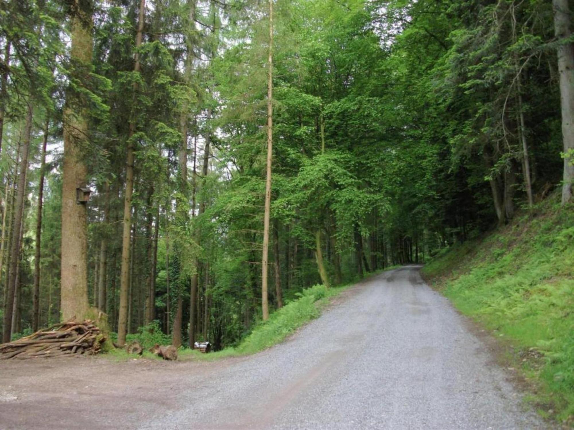 Lovely Apartment In The Black Forest Villingen-Schwenningen Ngoại thất bức ảnh