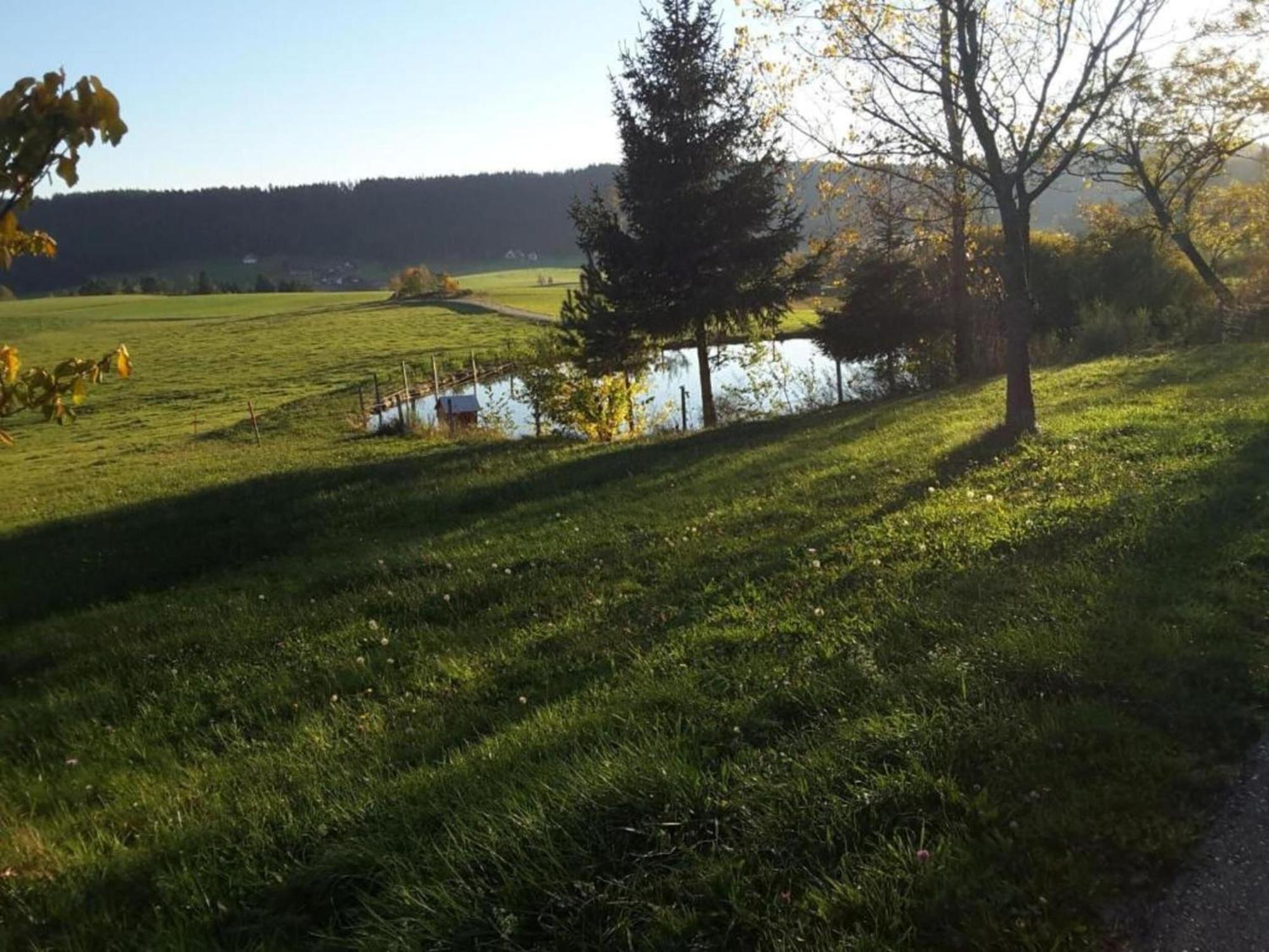 Lovely Apartment In The Black Forest Villingen-Schwenningen Ngoại thất bức ảnh