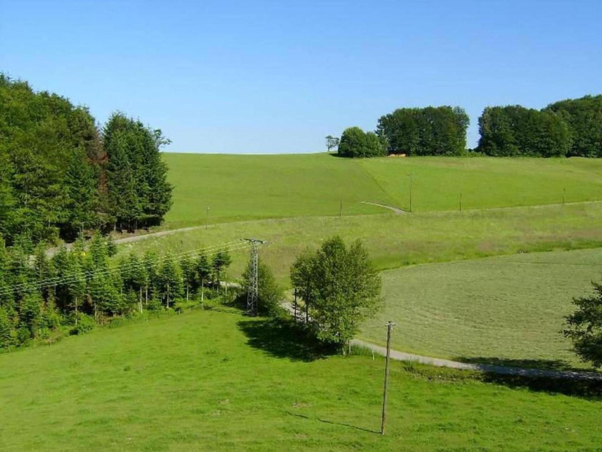 Lovely Apartment In The Black Forest Villingen-Schwenningen Ngoại thất bức ảnh