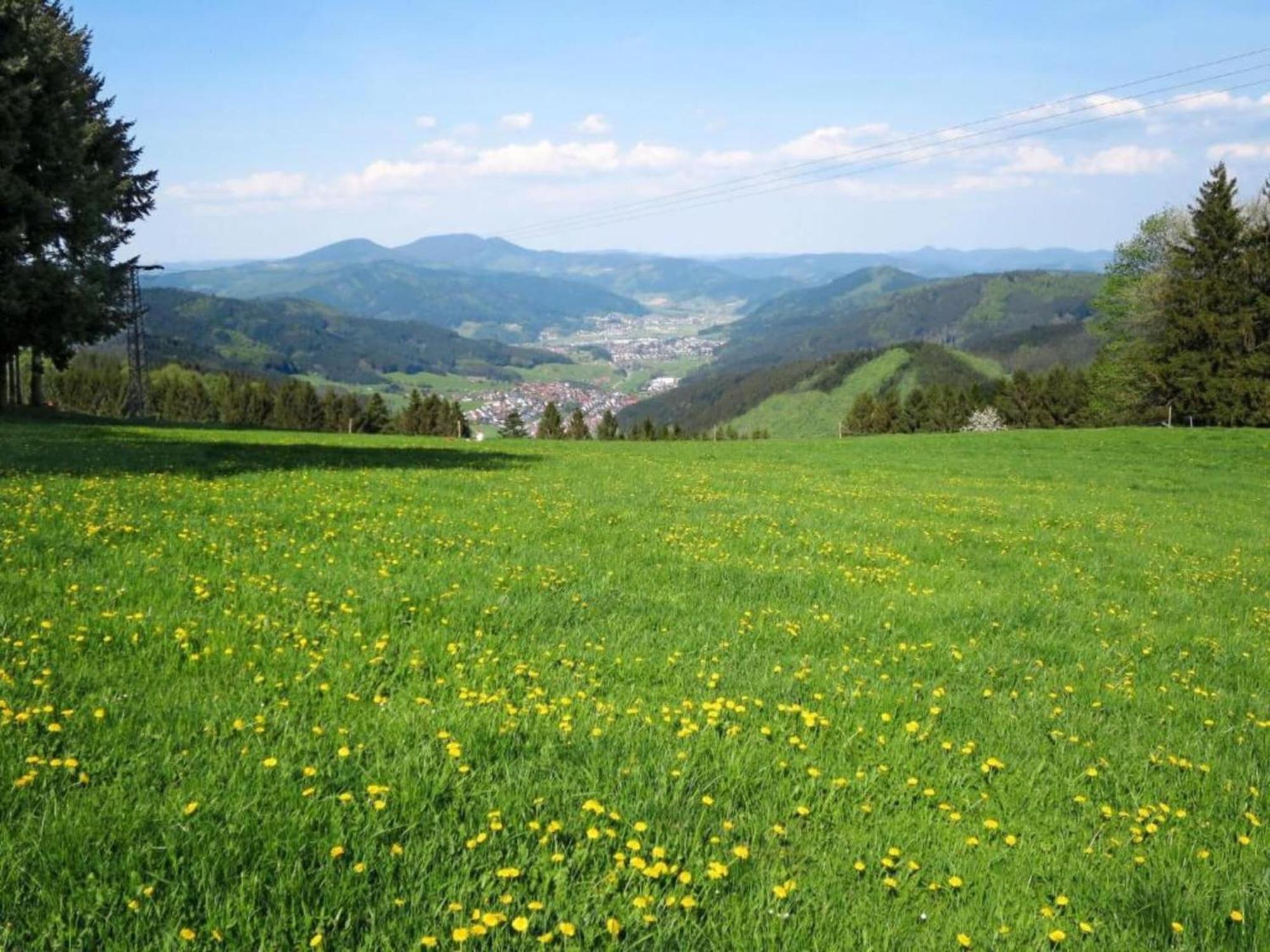 Lovely Apartment In The Black Forest Villingen-Schwenningen Ngoại thất bức ảnh