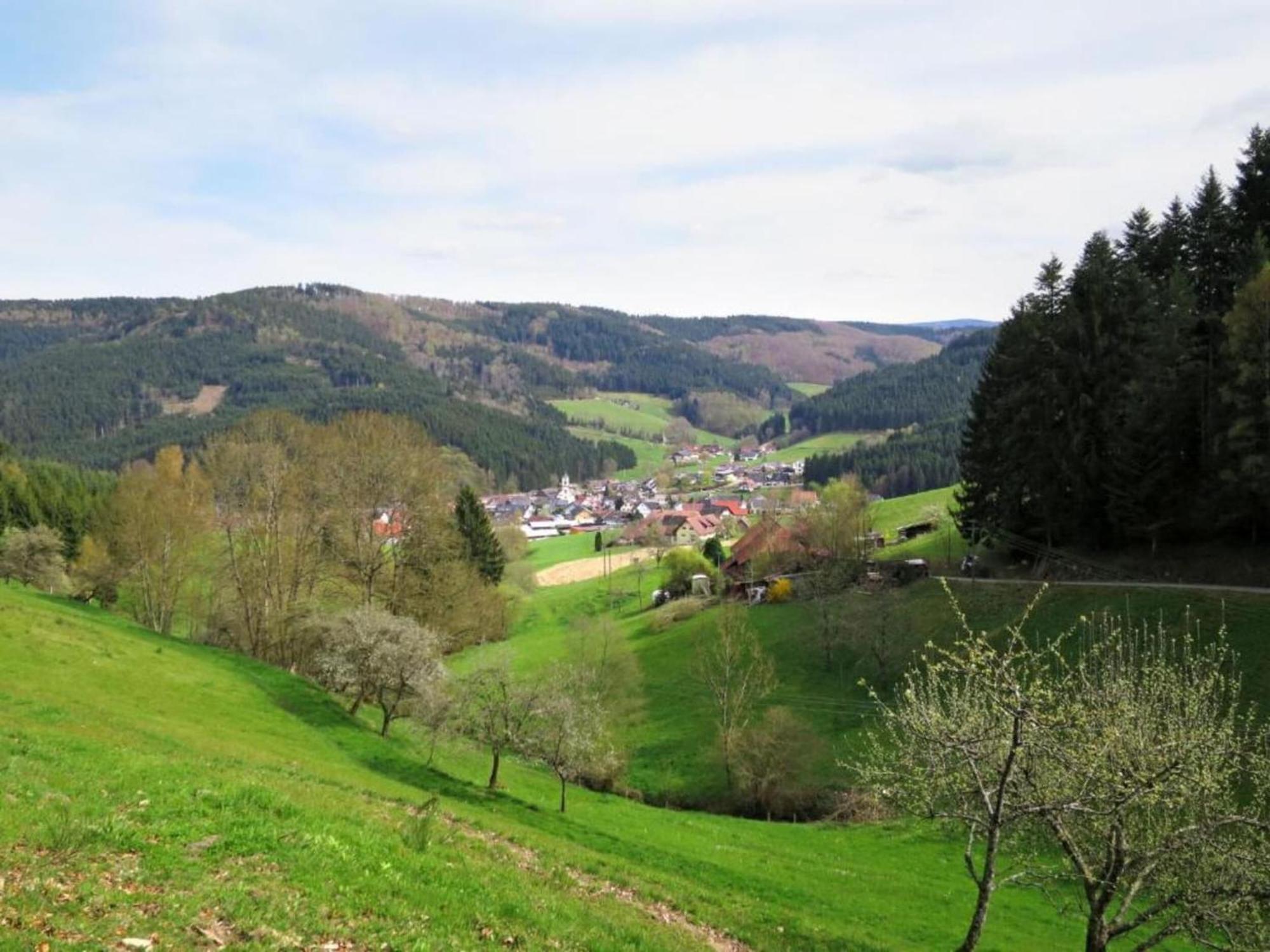 Lovely Apartment In The Black Forest Villingen-Schwenningen Ngoại thất bức ảnh