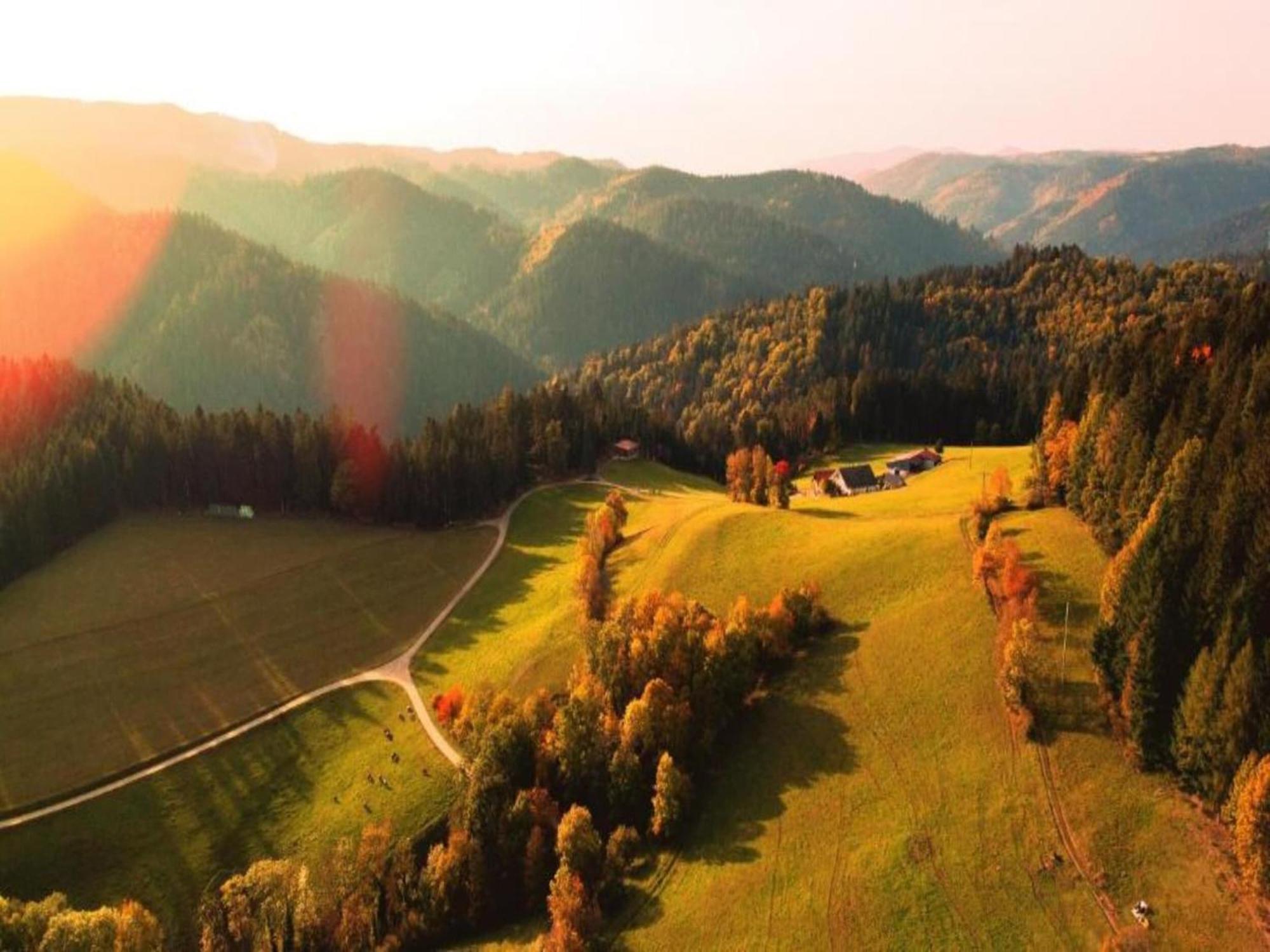 Lovely Apartment In The Black Forest Villingen-Schwenningen Ngoại thất bức ảnh