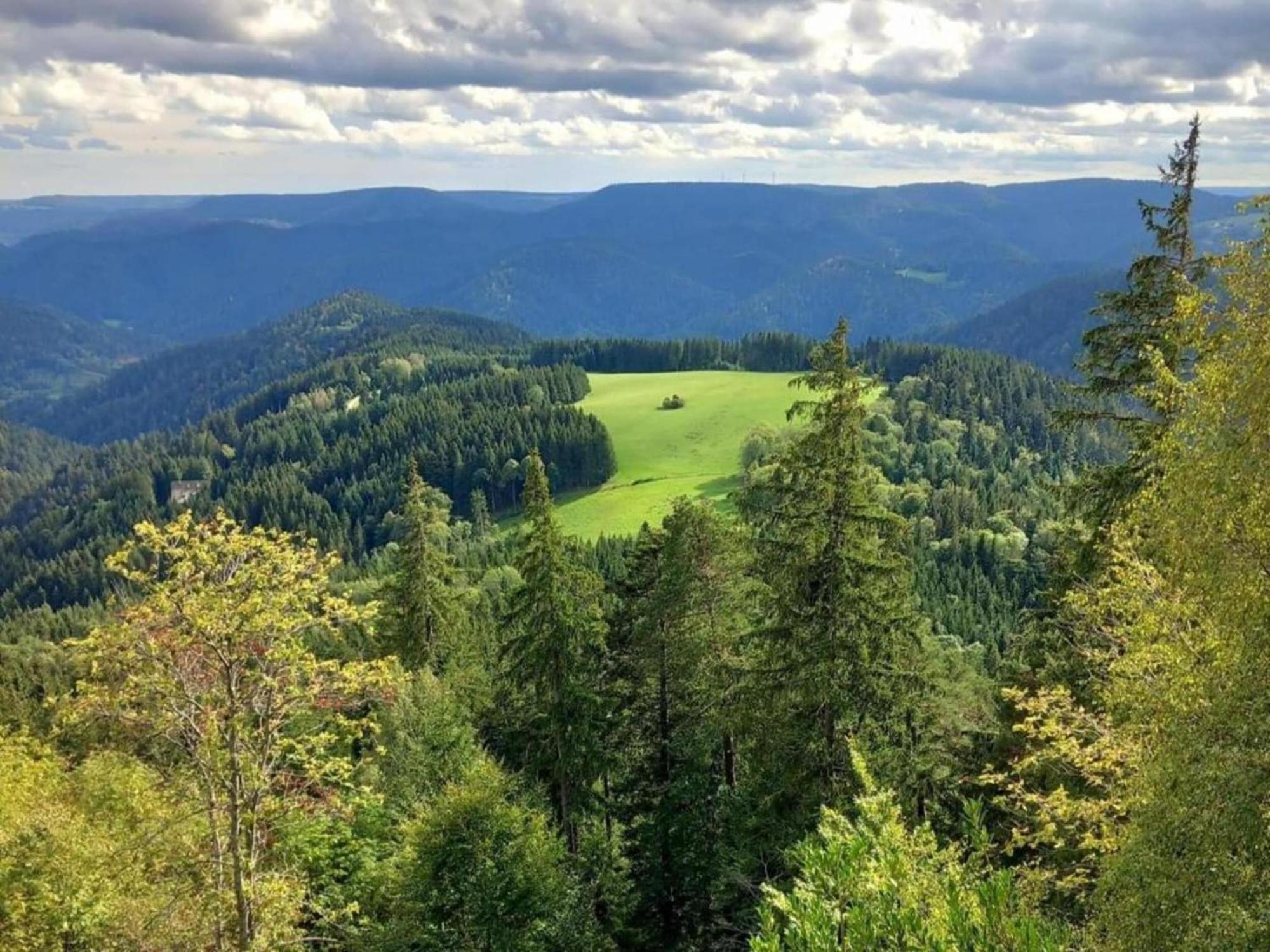 Lovely Apartment In The Black Forest Villingen-Schwenningen Ngoại thất bức ảnh